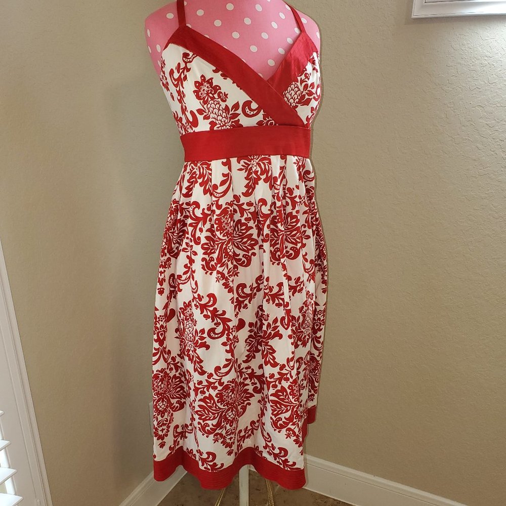 NWT Hipnotix Side Zip Retro Summer dress